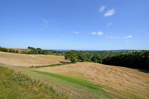 Birley Cutthorpe